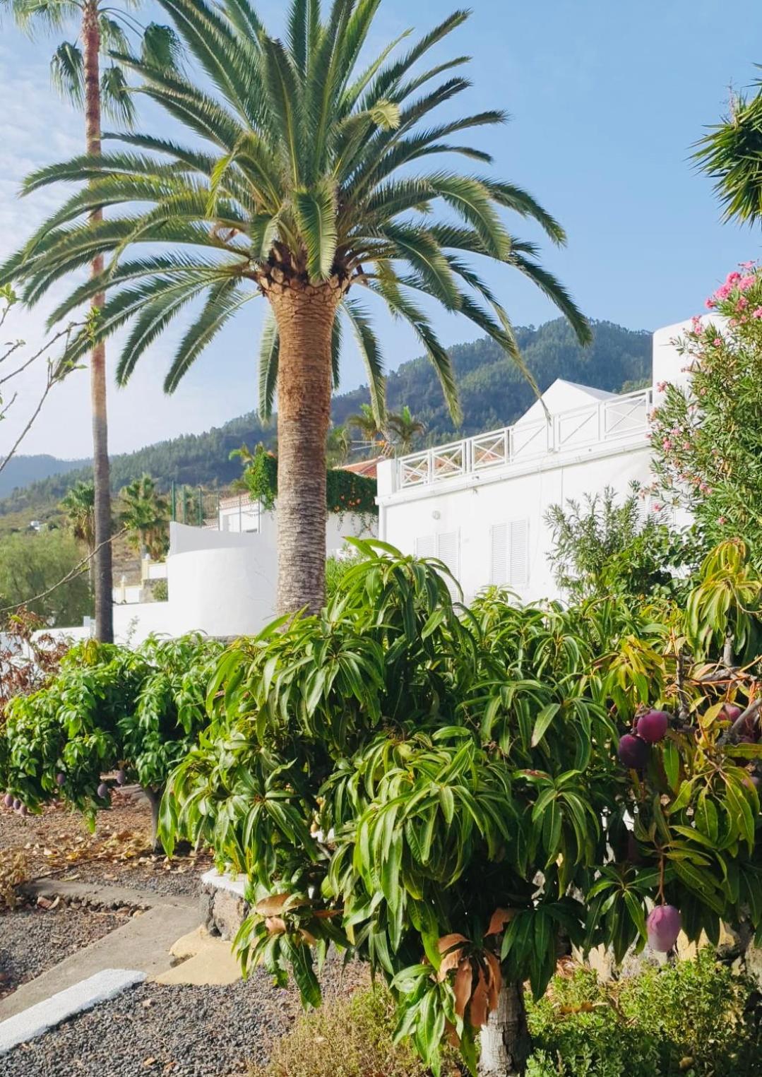 Willa Rural Jardines La Quinta El Paso Zewnętrze zdjęcie